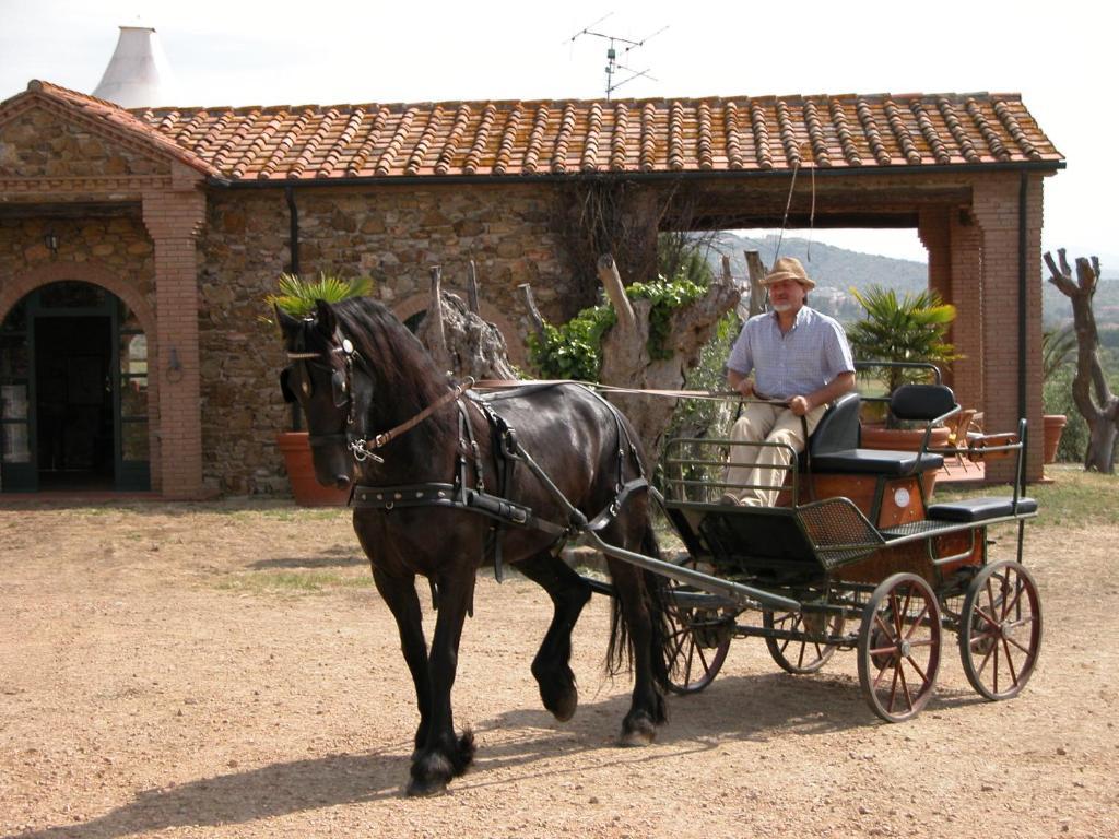 Agriturismo La Fontanella & Glamping スヴェレート エクステリア 写真